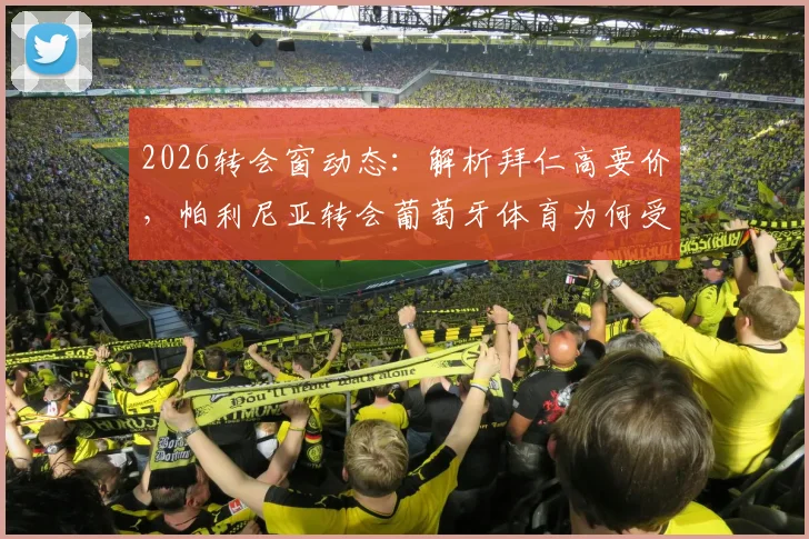 2026转会窗动态：解析拜仁高要价，帕利尼亚转会葡萄牙体育为何受阻，附球员市场价值分析